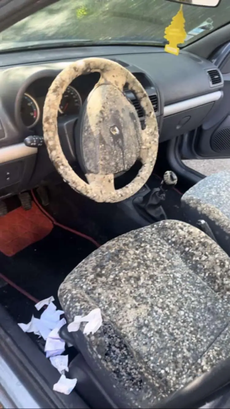 192deb85-a6a6-40c6-ad7b-25ee680747d9