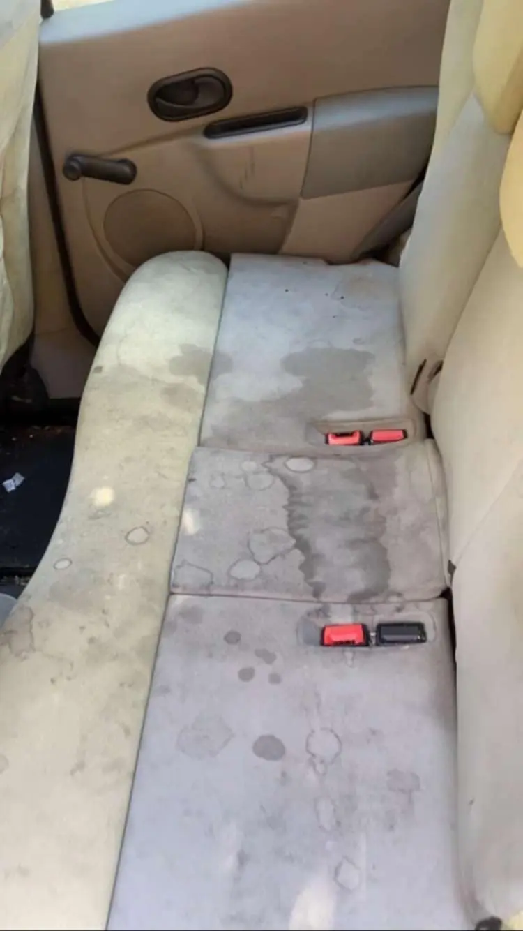 a9de9df4-0ec9-4cf2-ab05-81d892e9a323